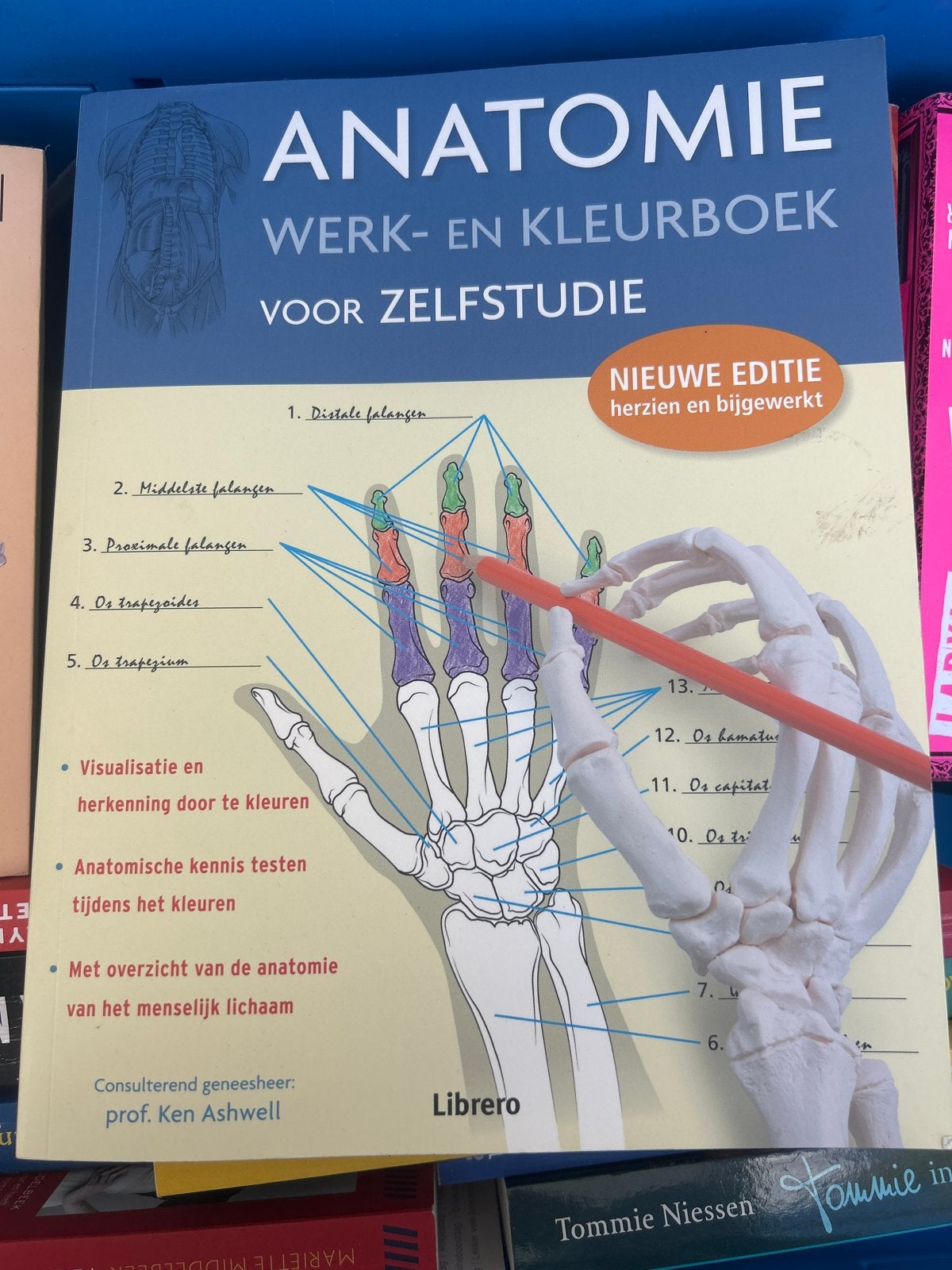 Anatomie Werk- en Kleurboek voor Zelfstudie - Nieuwe Editie, Ophalen of Verzenden, Beta, Nieuw, HBO