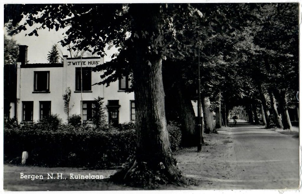 Bergen - Ruïnelaan, Verzenden, 1960 tot 1980, Gelopen, Noord-Holland