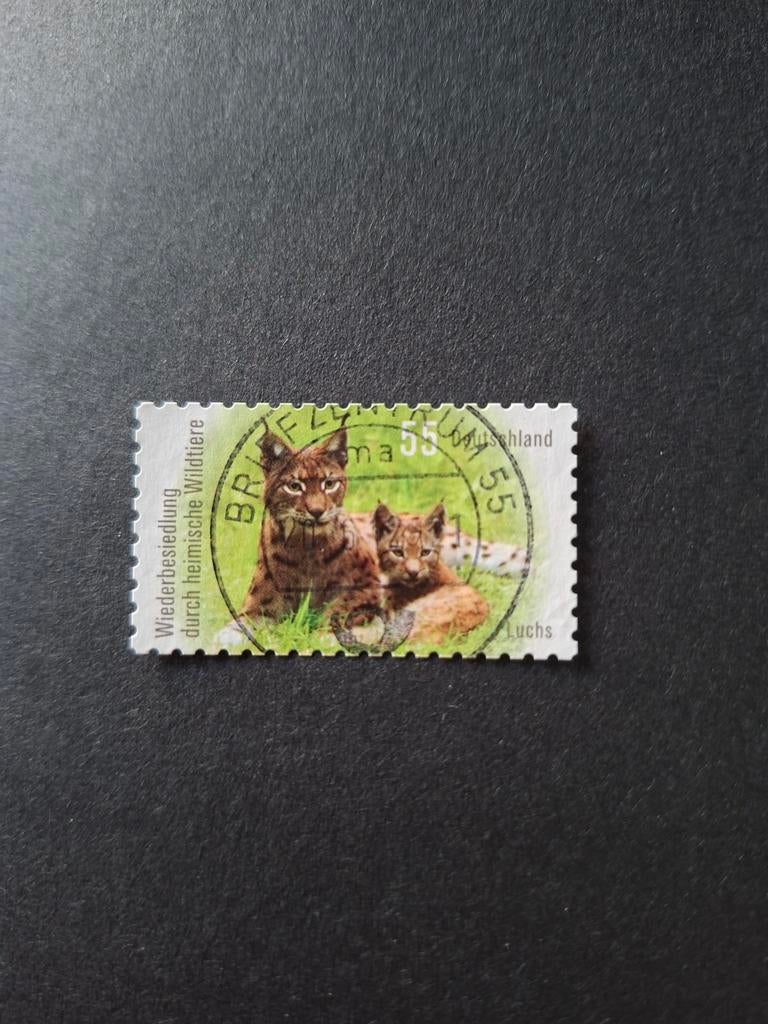Duitsland.  Lynx, Ophalen of Verzenden, Dier of Natuur