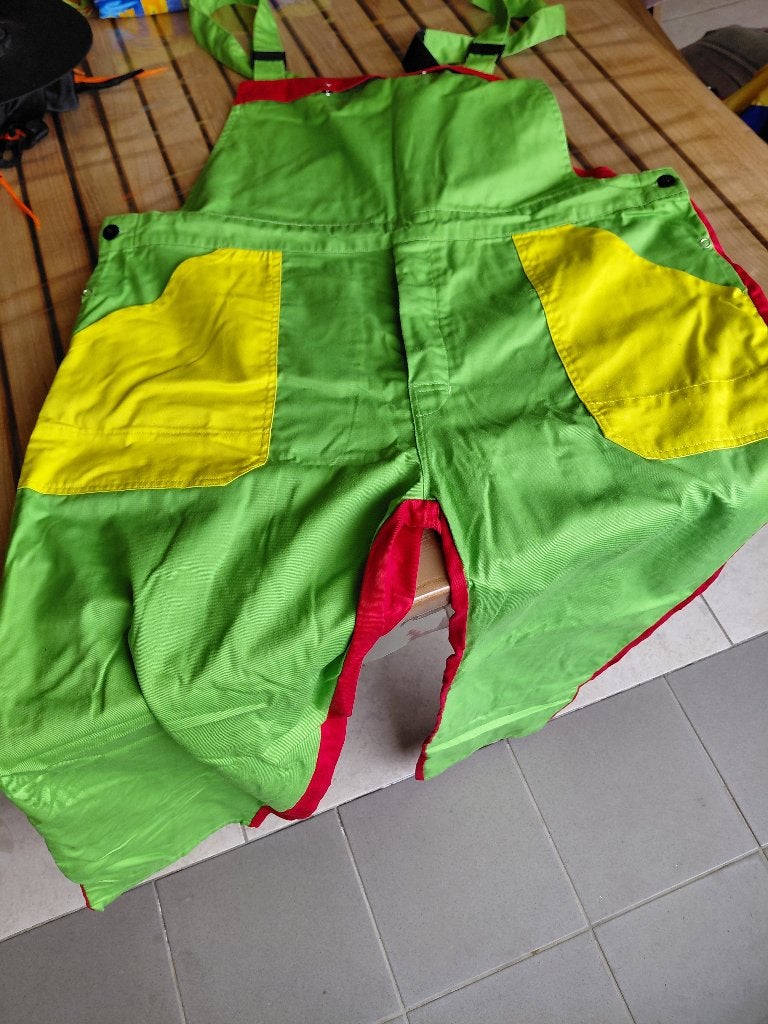 Carnavalskleding voor volwassenen, Ophalen of Verzenden, Gedragen, Carnaval, Kleding