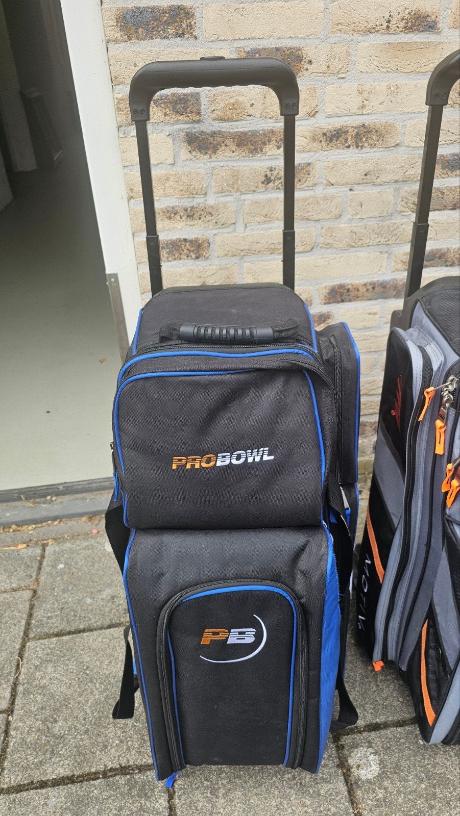 2 Bowling Trolleys: ProBowl en Motiv (3 ballen), Ophalen, Zo goed als nieuw