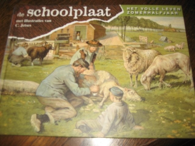 De schoolplaat 4 / het volle leven zomerhalfjaar, Ophalen of Verzenden, Zo goed als nieuw