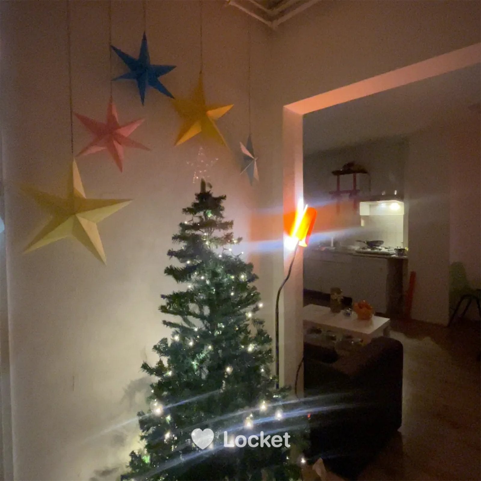 Christmas Tree - Kerstboom, Ophalen, Gebruikt