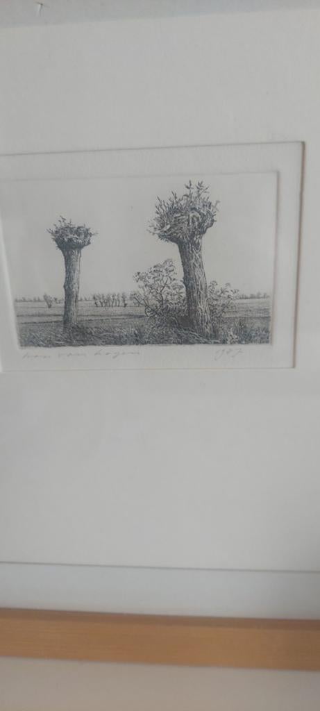 Han van Hagen natuur bomen ets (gesigneerd), Ophalen of Verzenden