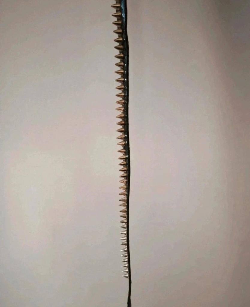 Lak riem met spikes - 110 CM - Gothic - Goth - Black Metal, 100 cm of meer, Zwart, Heupriem, Ophalen of Verzenden