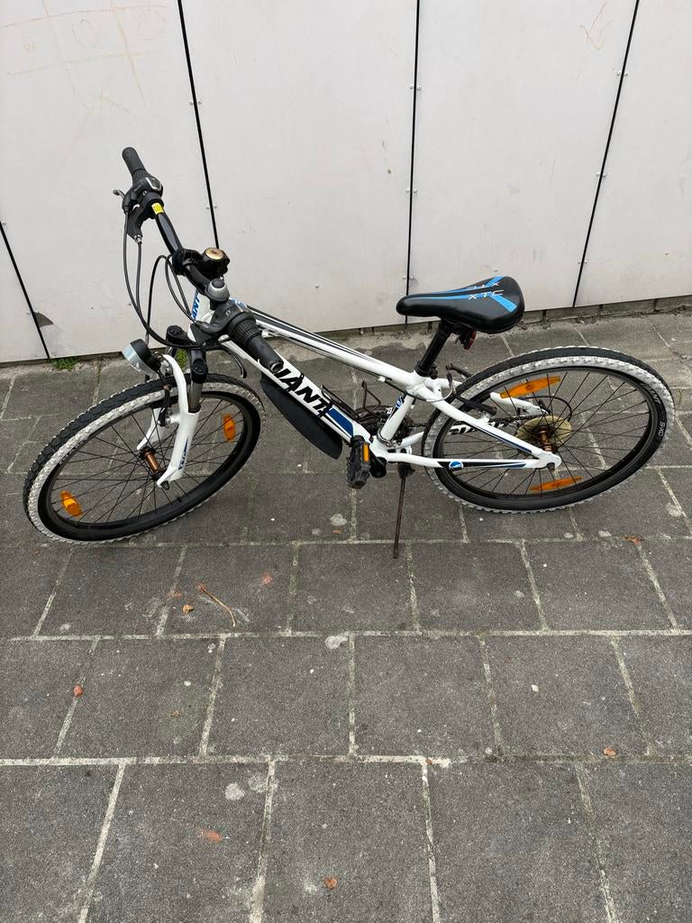 Giant mountainbike xtc 24”, Minder dan 45 cm, Ophalen, Gebruikt, Giant
