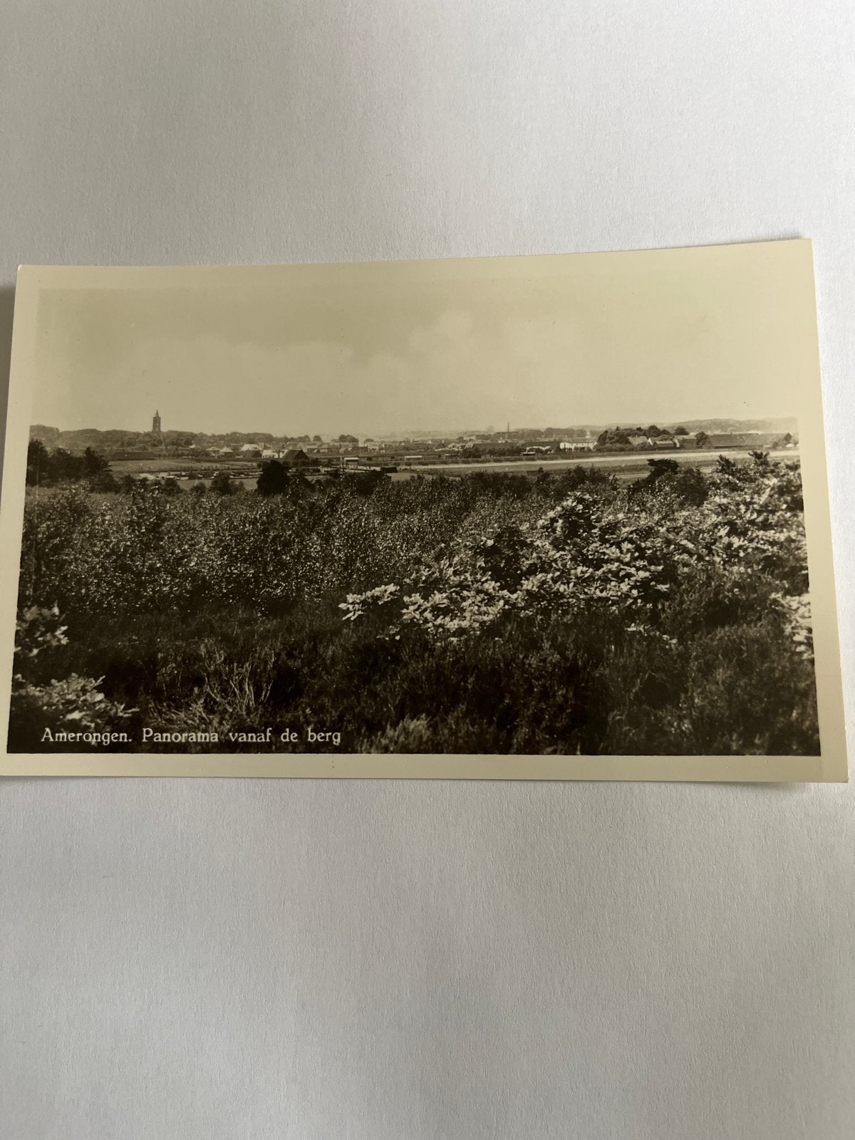 Ansichtkaart Amerongen Panorama vanaf de berg 1956, Verzenden, 1940 tot 1960, Ongelopen, Utrecht
