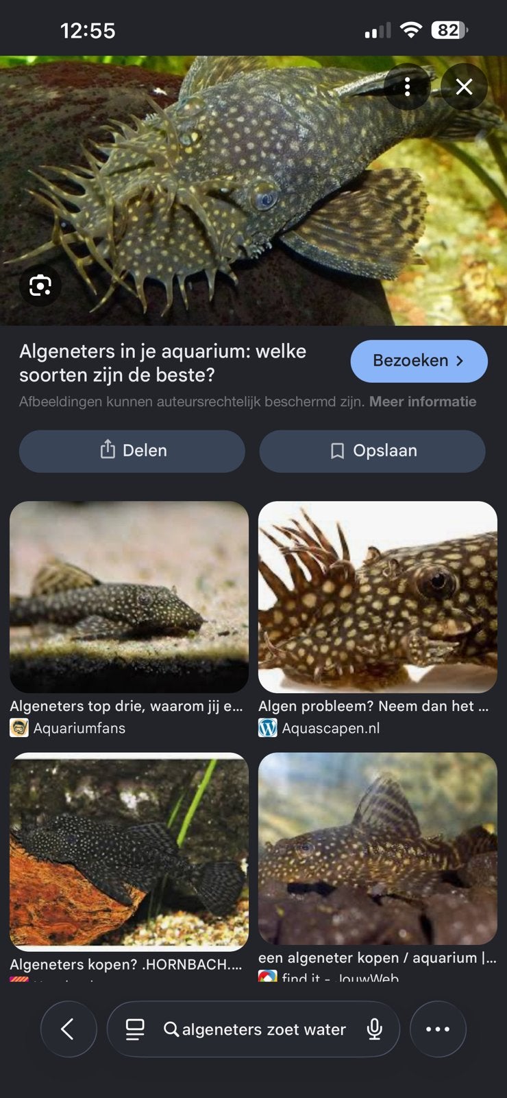 Algeneters, Dieren en Toebehoren, Vis