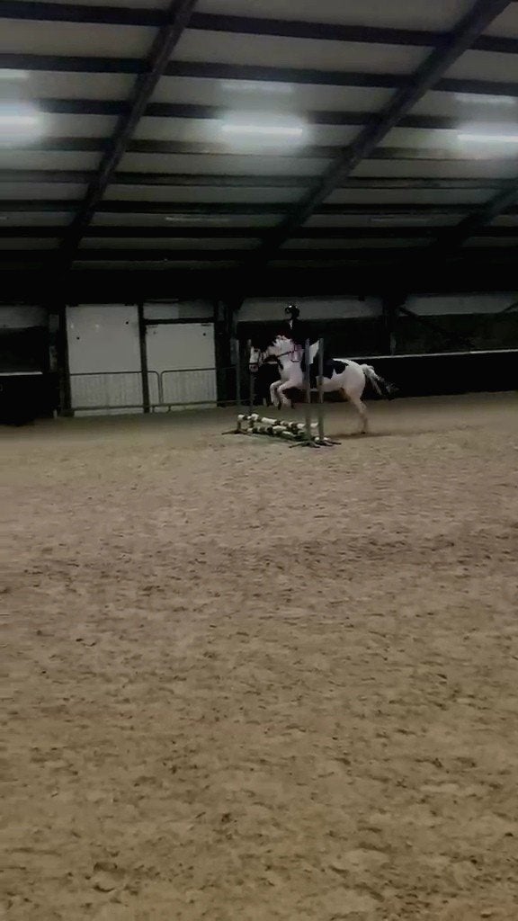 Zeer ervaren ruiter zoekt bijrijd paard/pony, Ophalen