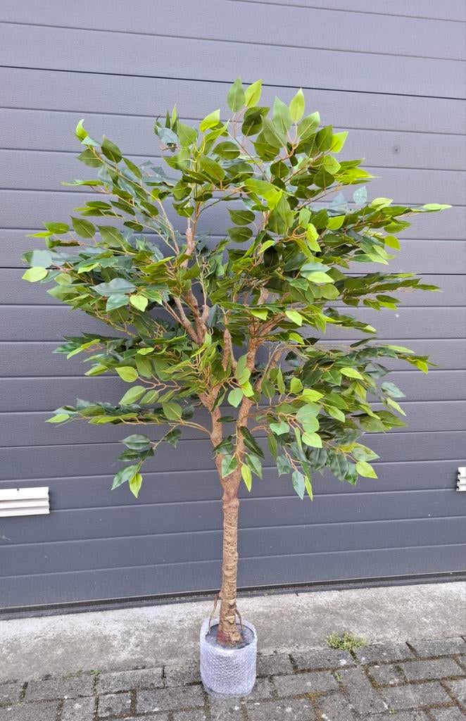 Kunstplant kunstboom Ficus, 180 cm, Binnen, Groen, Lankforst