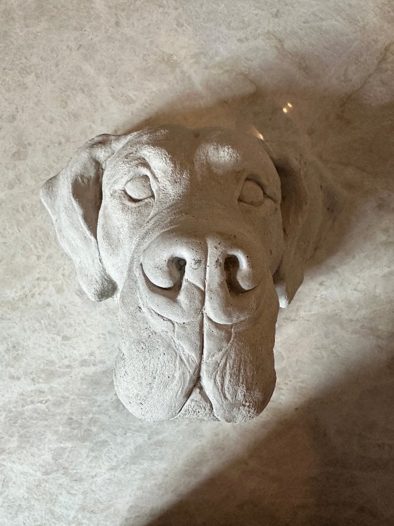 Duitse doggen kop - betonnen beeld, Tuin en Terras, Ophalen of Verzenden, Zo goed als nieuw, Beton, Overige typen