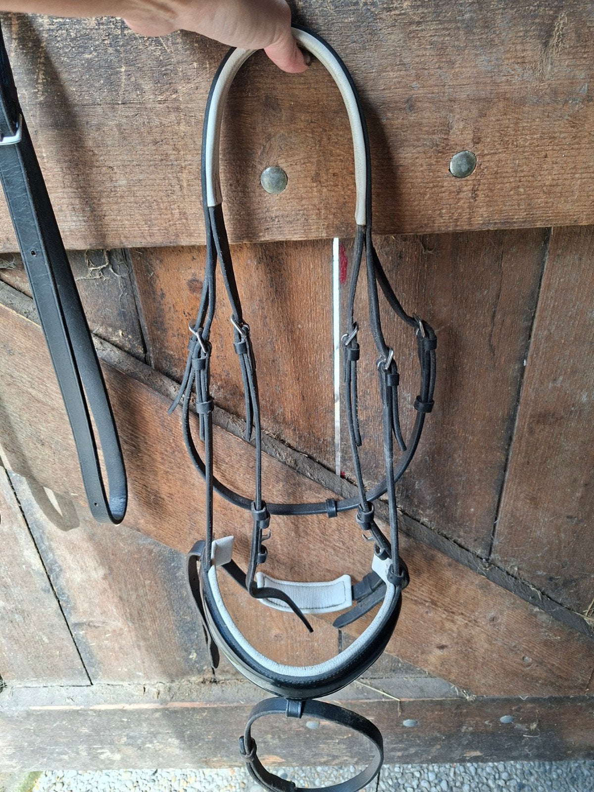 hoofdstel profirider full, Dieren en Toebehoren, Ophalen of Verzenden, Hoofdstel, Full