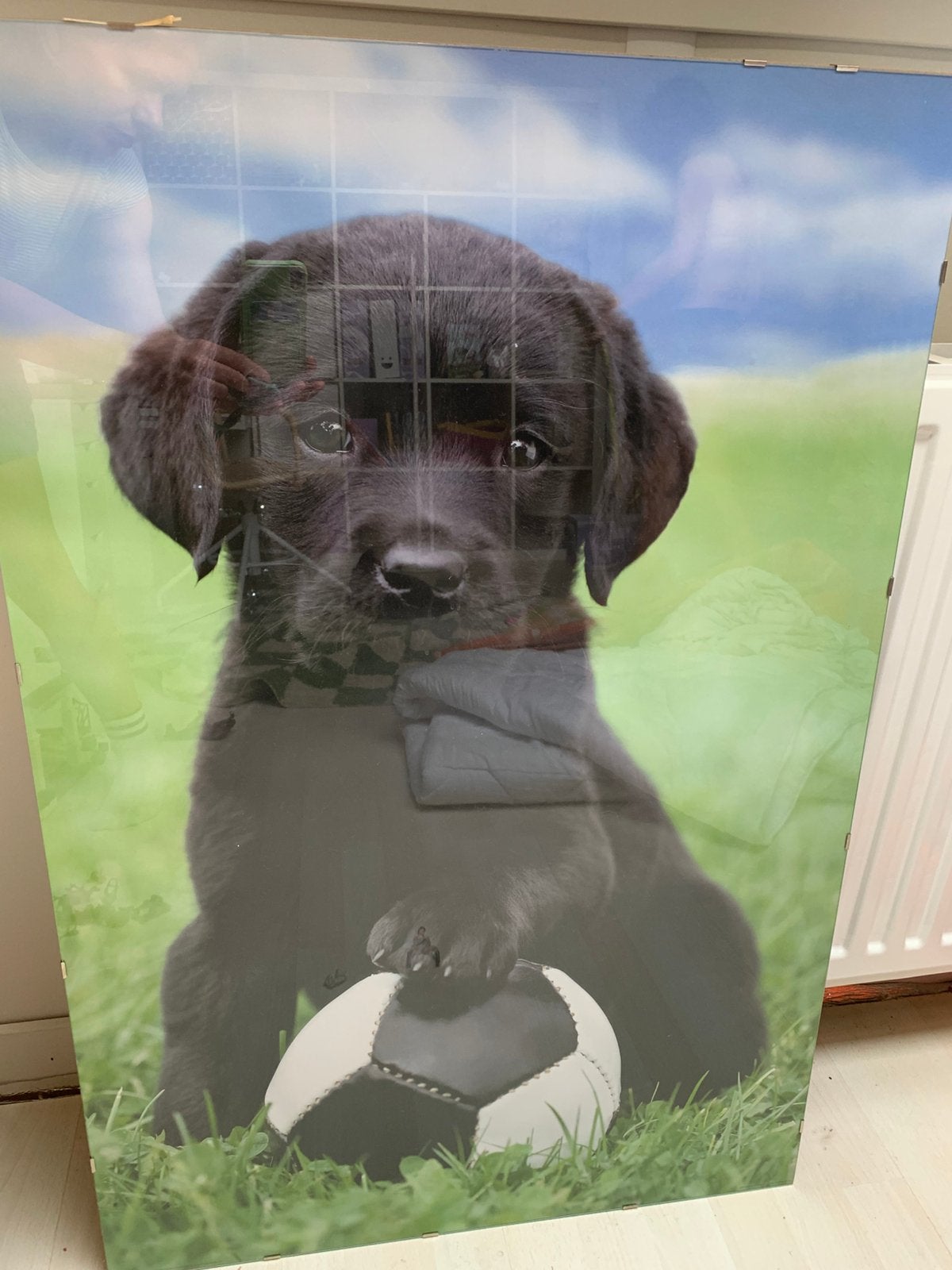 Grote poster in lijst, Ophalen, Zo goed als nieuw