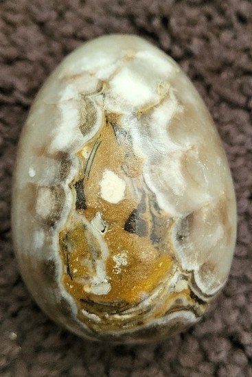 Ei van Agaat (bloem), Verzamelen, Ophalen of Verzenden