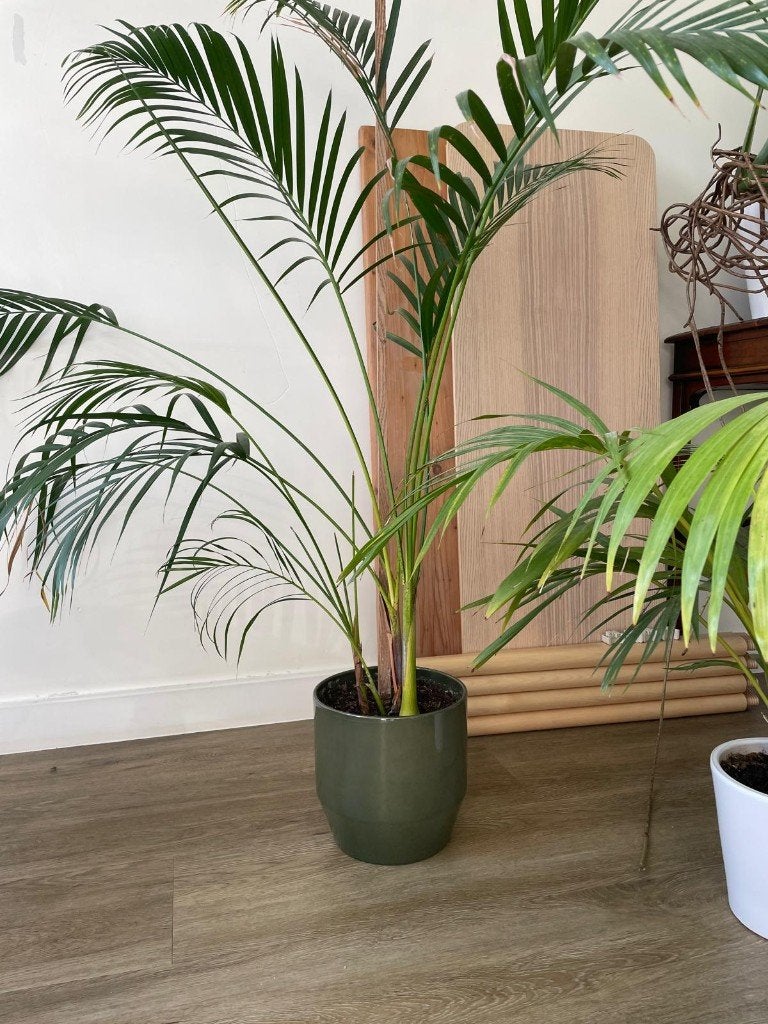 Moving sale - Must go by 30th of June, Ophalen