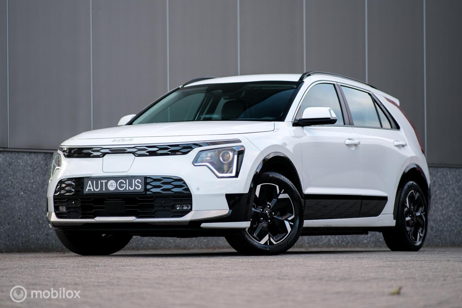 Kia Niro EV Light 64.8 kWh | SOH 96,5 | Camera | Stoel + stu