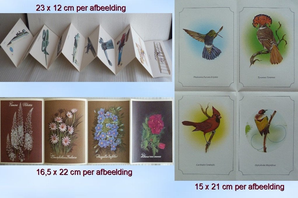 Reproducties oude vliegtuigen, vogels en bloemen, Nieuw, Ophalen of Verzenden, Voor 1940, Prent