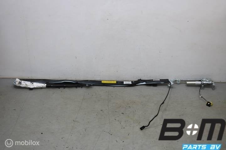 Hemel airbag rechts VW Passat 3BG 3B9880742J