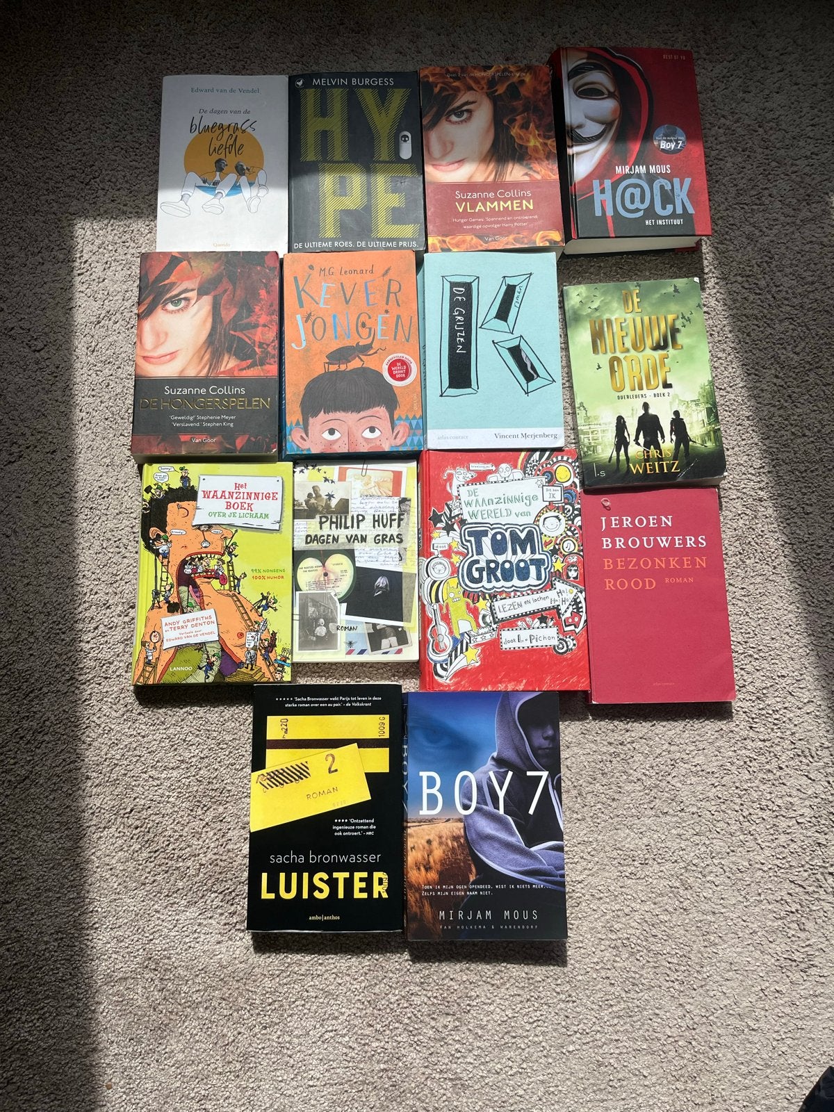 Boeken te koop: Diverse titels, zo goed als nieuw, Ophalen of Verzenden, Zo goed als nieuw