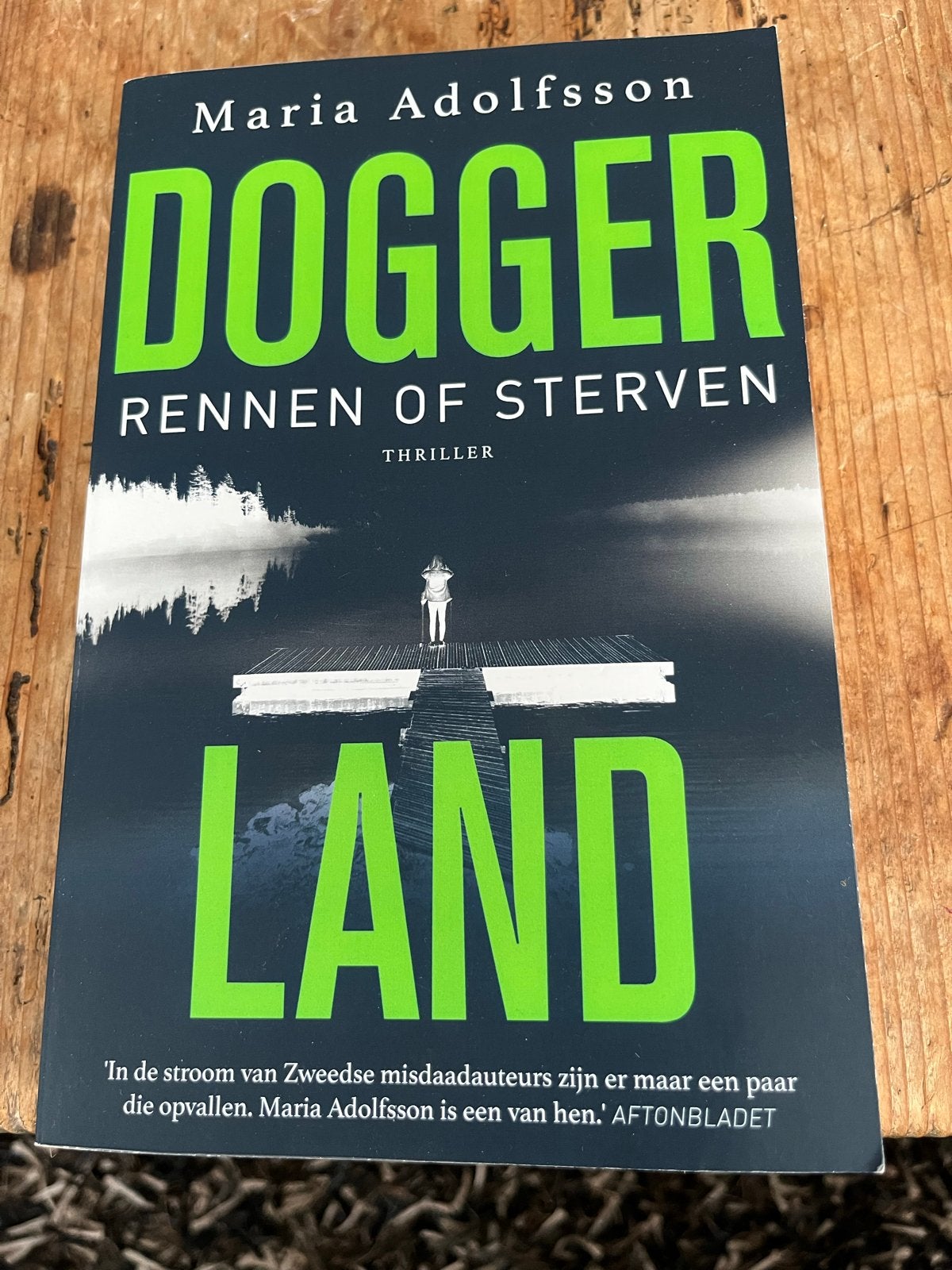 Doggerland: Rennen of Sterven - Maria Adolfsson Thriller, Ophalen of Verzenden, Zo goed als nieuw, Scandinavië