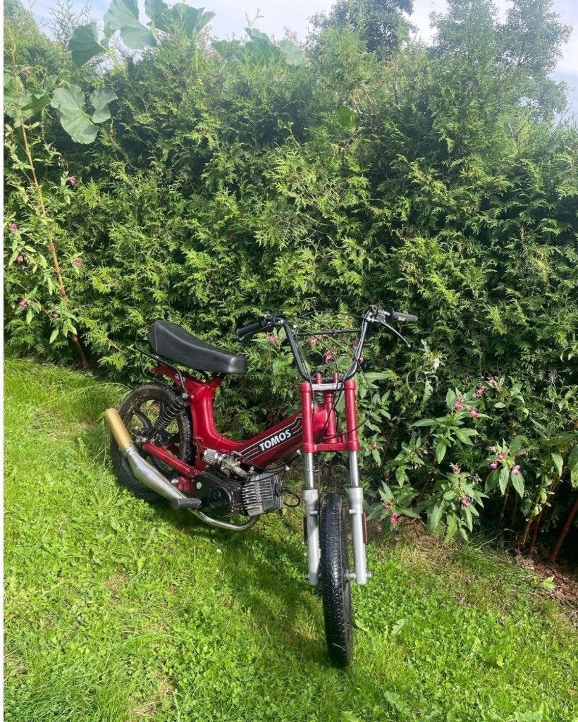tomos gezocht, Gebruikt, Overige modellen, 65 cc, Ophalen of Verzenden