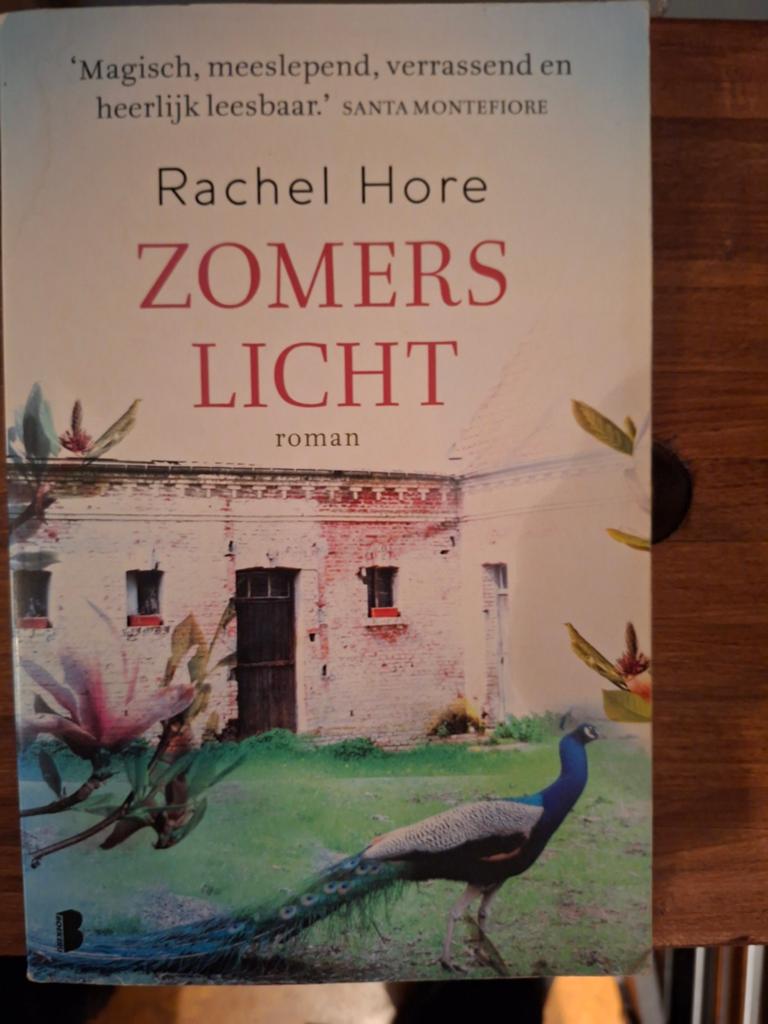 Rachel Hore - Zomers licht, Boeken, Literatuur, Zo goed als nieuw, Nederland, Ophalen