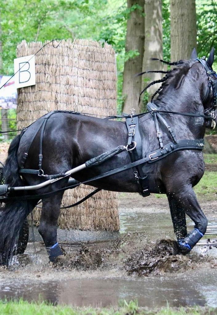 SEM mentuig, kunststof Full, Dieren en Toebehoren, Ophalen, Zo goed als nieuw