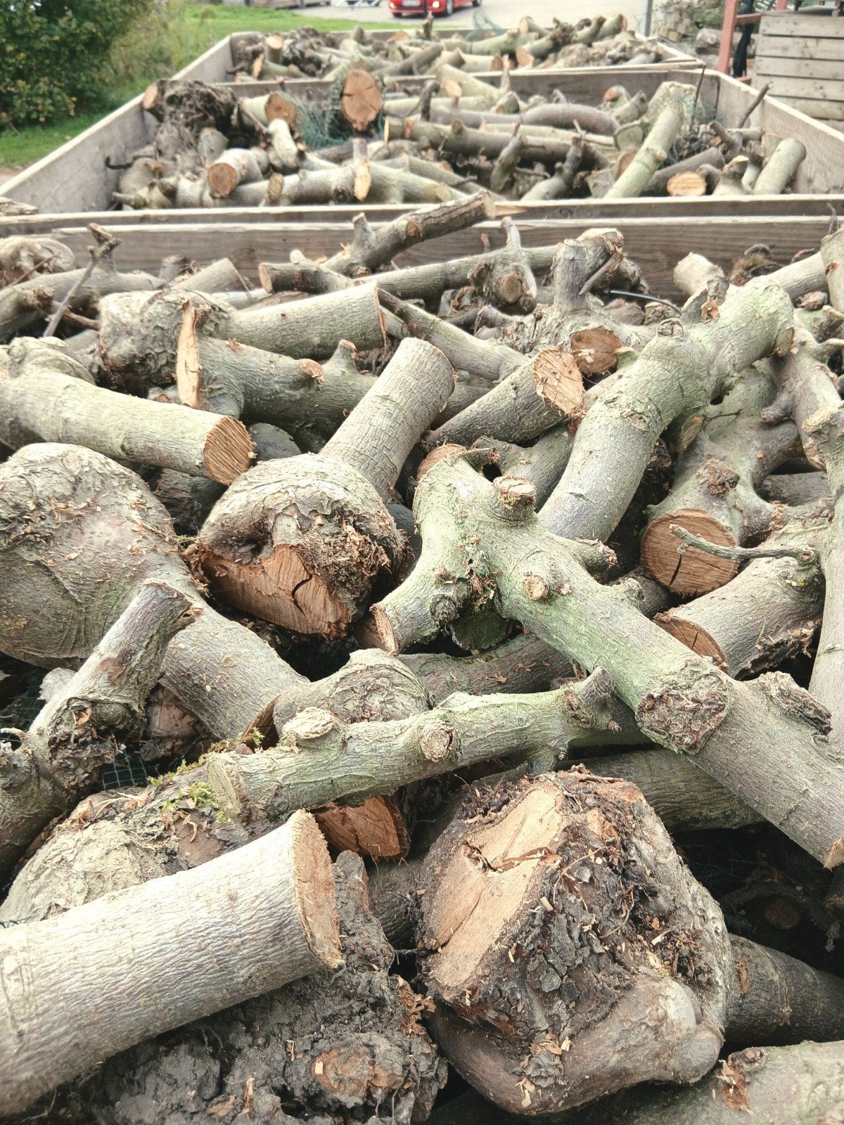 Gedroogd appelhout haardhout, 6 m³ of meer, Ophalen of Verzenden