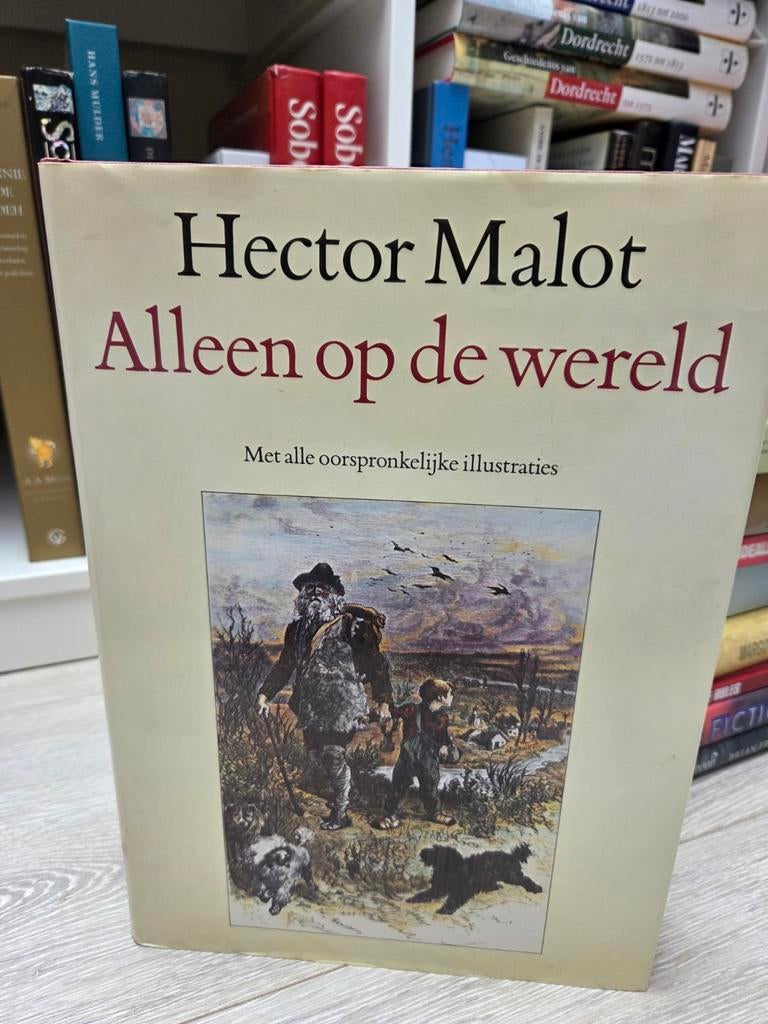 Hector Malot - Alleen op de wereld / geïllustreerd, Boeken, Ophalen of Verzenden, Gelezen