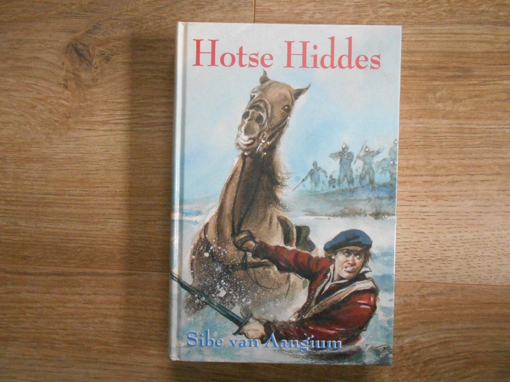 Sibe van Aangium Hotse Hiddes, Boeken, Ophalen of Verzenden, Zo goed als nieuw