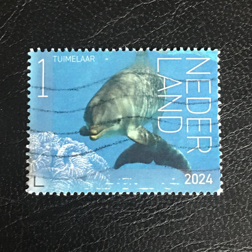 3070 Nederland 2024 NVPH 4201 Bonaire Tuimelaar - getempeld, Ophalen of Verzenden, Na 1940, Gestempeld