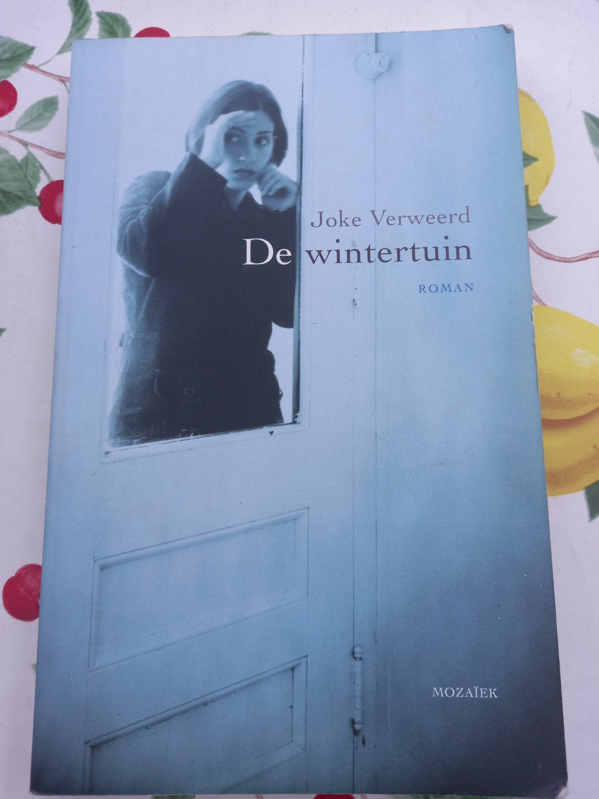 m7 Joke Verweerd - De wintertuin, Gelezen, Nederland, Joke Verweerd, Ophalen of Verzenden