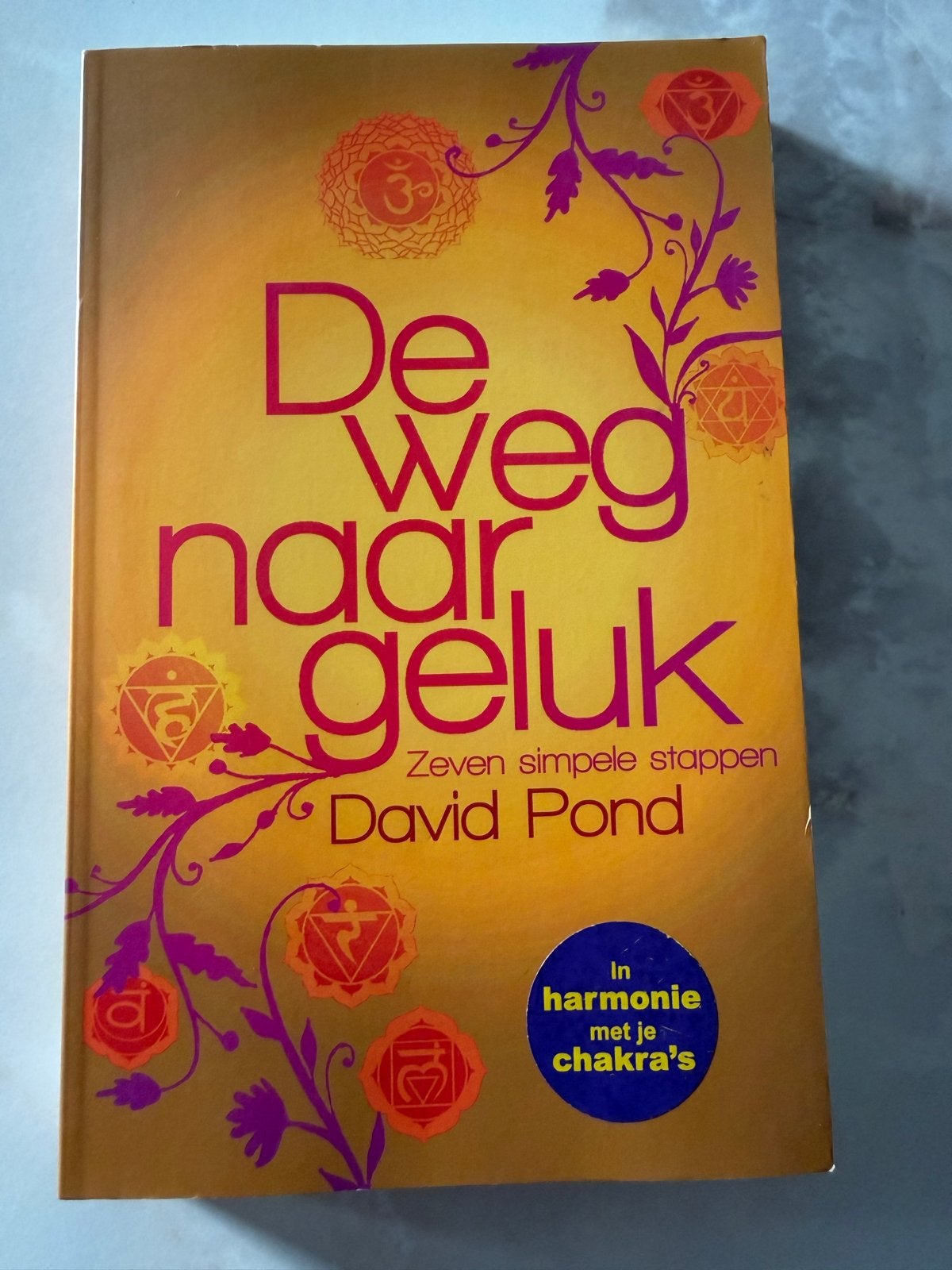 De weg naar geluk: Zeven simpele stappen - David Pond