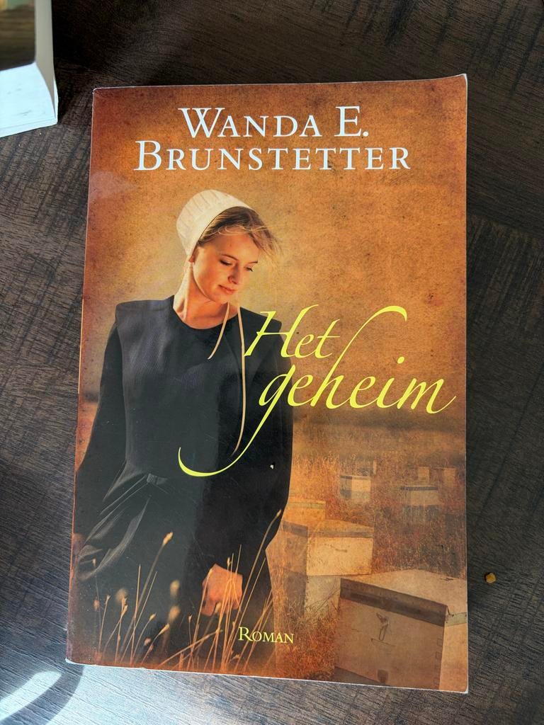 Het geheim - Wanda E. Brunstetter, Ophalen of Verzenden, Gelezen, Nederland