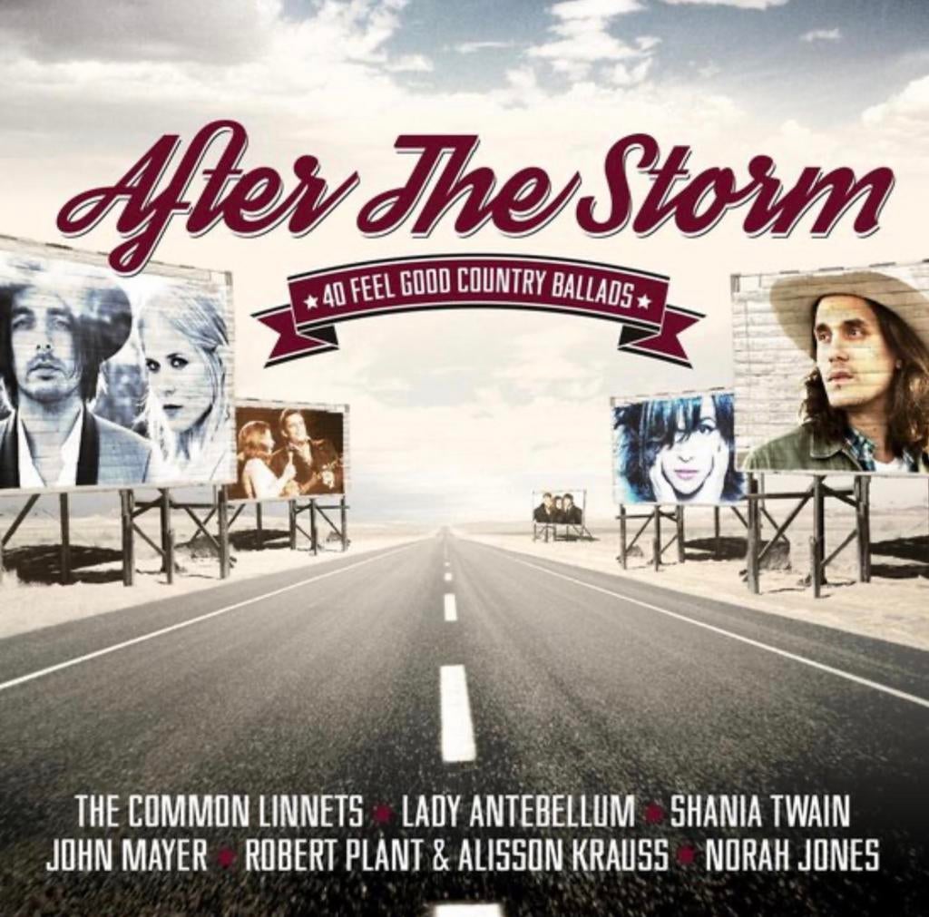 CD Various Artists o.a. The Common Linnets - After The Storm, Verzenden, Zo goed als nieuw