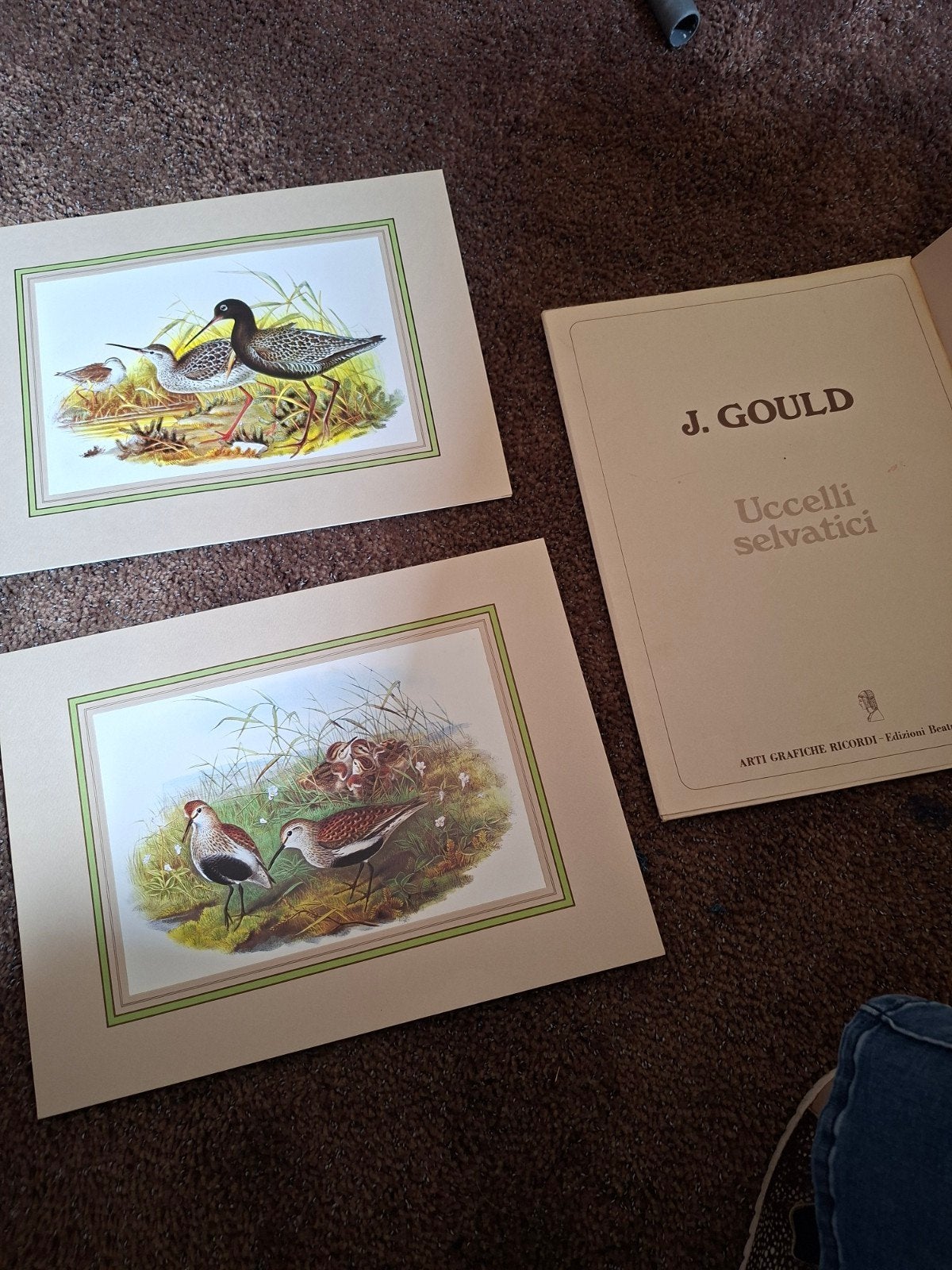Twee vintage prenten van J. Gould - Uccelli Selvatici, Antiek en Kunst, Ophalen of Verzenden