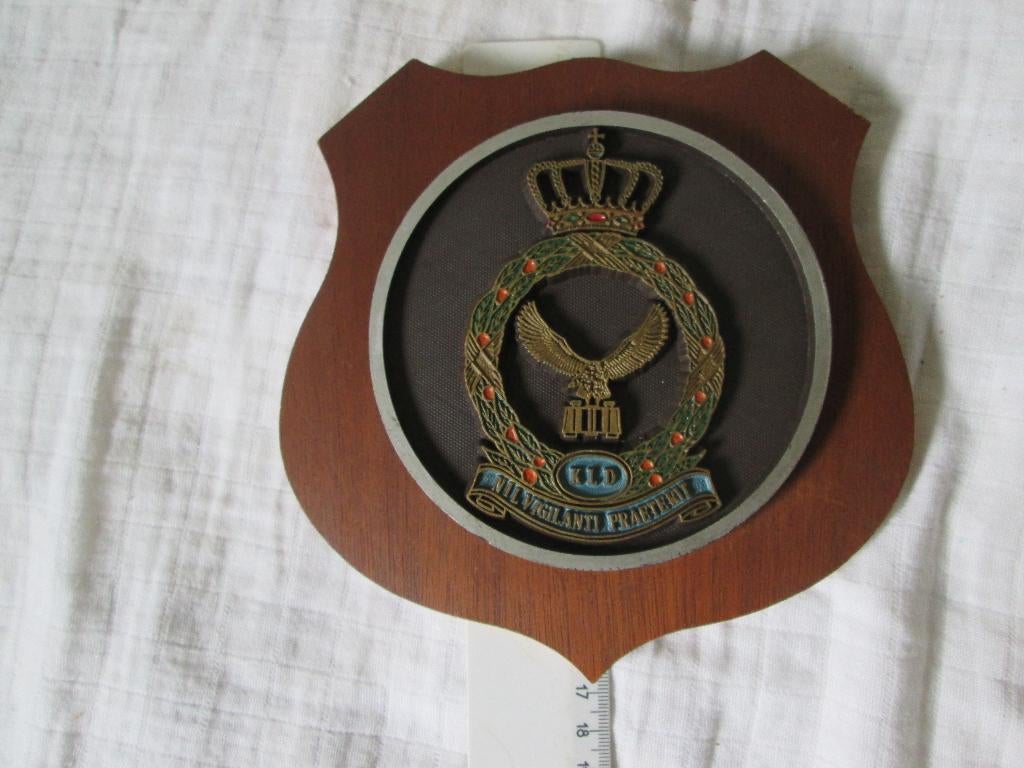 korps luchtwacht dienst wapenschild opgeheven 1968, Ophalen of Verzenden, Luchtmacht, Nederland, Kunstobject