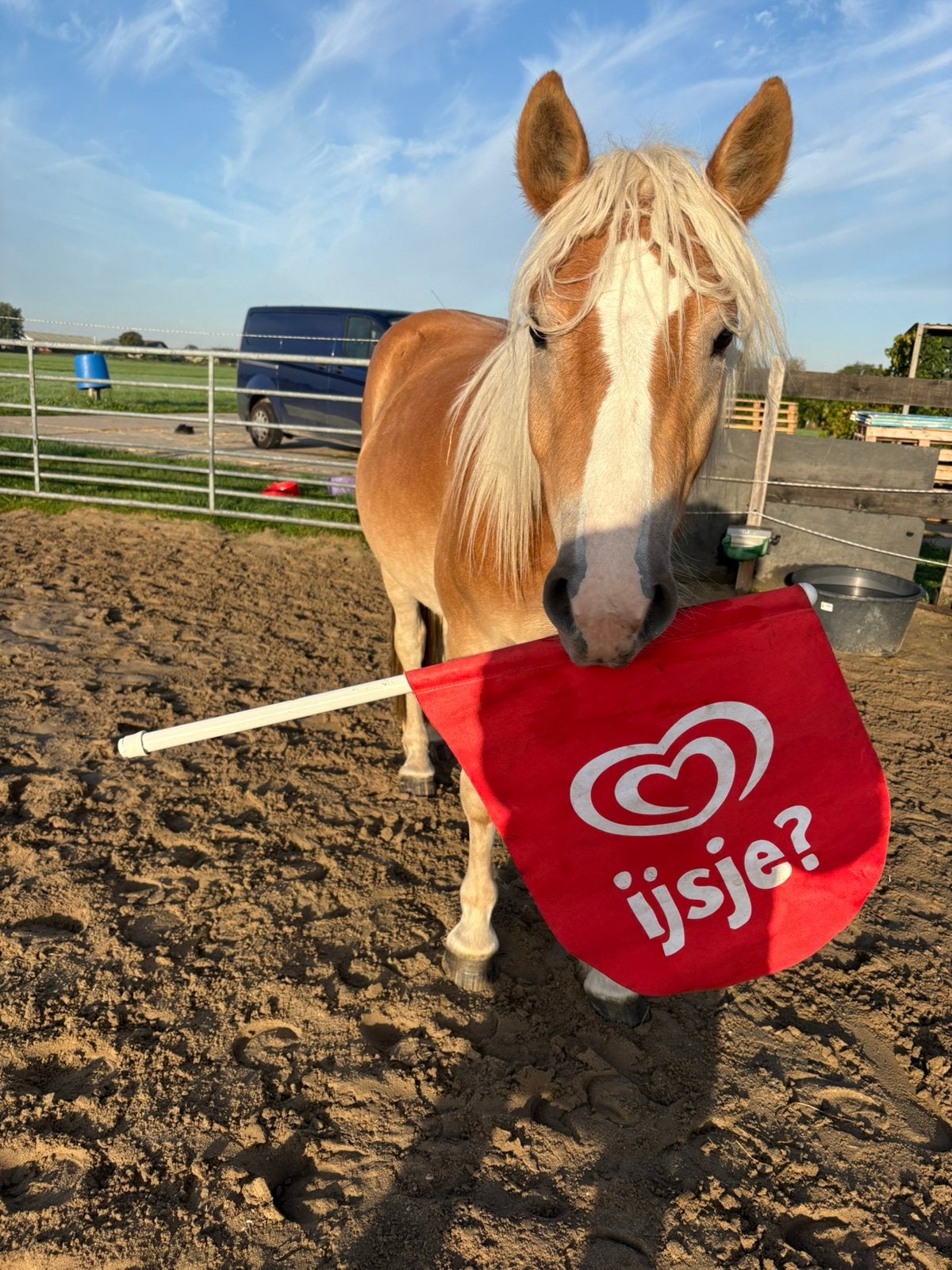 Paardenspullen te koop wegens beëindiging stal, Ophalen of Verzenden, Zo goed als nieuw