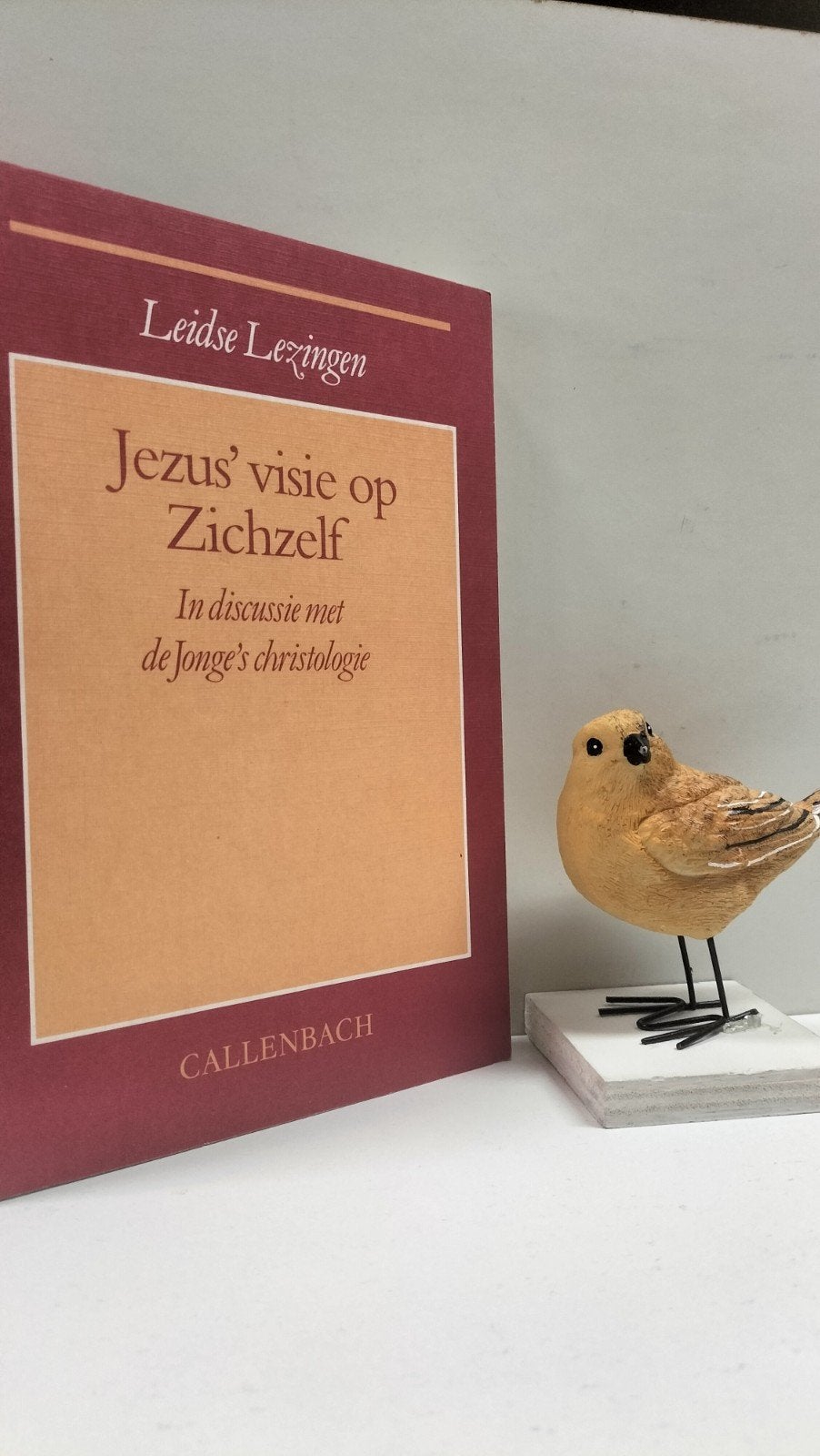 Leidse Lezingen;  Jezus’ visie op Zichzelf, Boeken, Ophalen of Verzenden, Gelezen, Christendom | Protestants