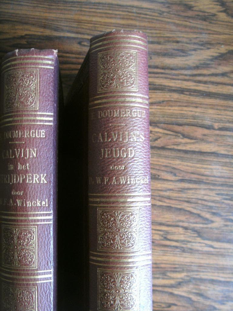Calvijn's jeugd en Calvijn in het strijdperk., E. Doumergue, Christendom | Protestants, Ophalen of Verzenden, Zo goed als nieuw