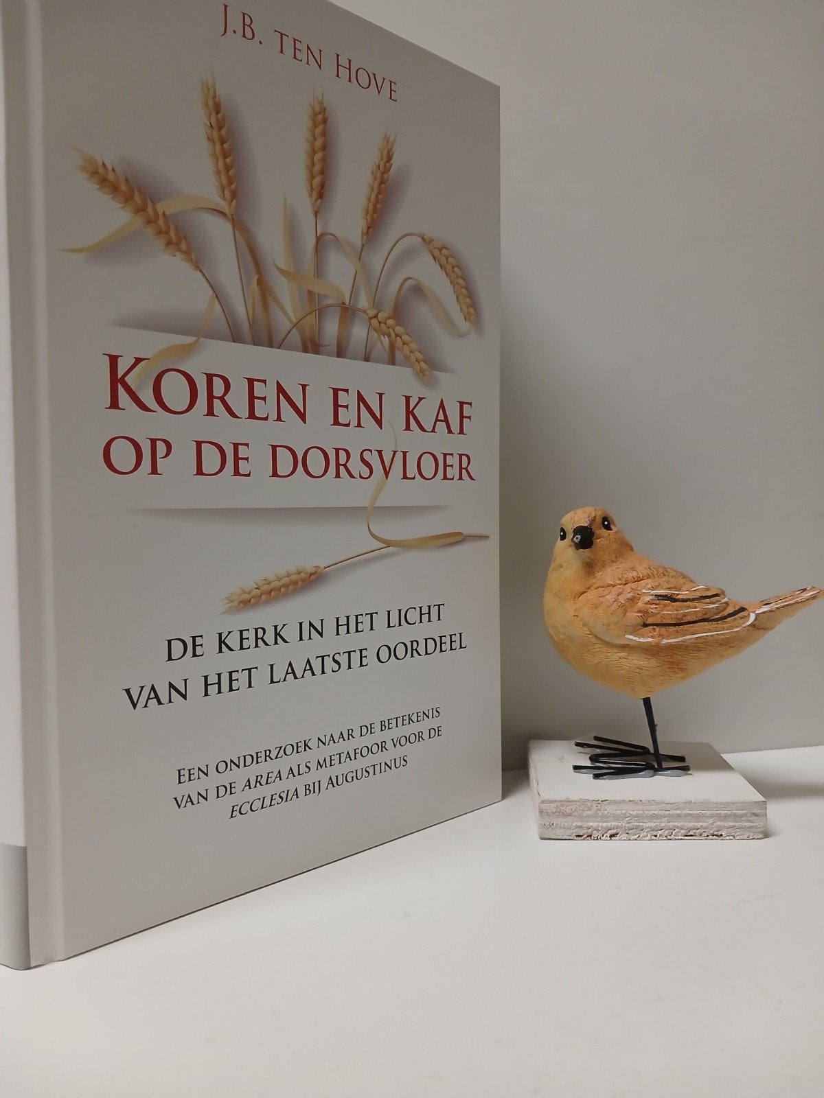Hove, J.B. ten; Koren en kaf op de dorsvloer, Ophalen of Verzenden, Gelezen, Christendom | Protestants