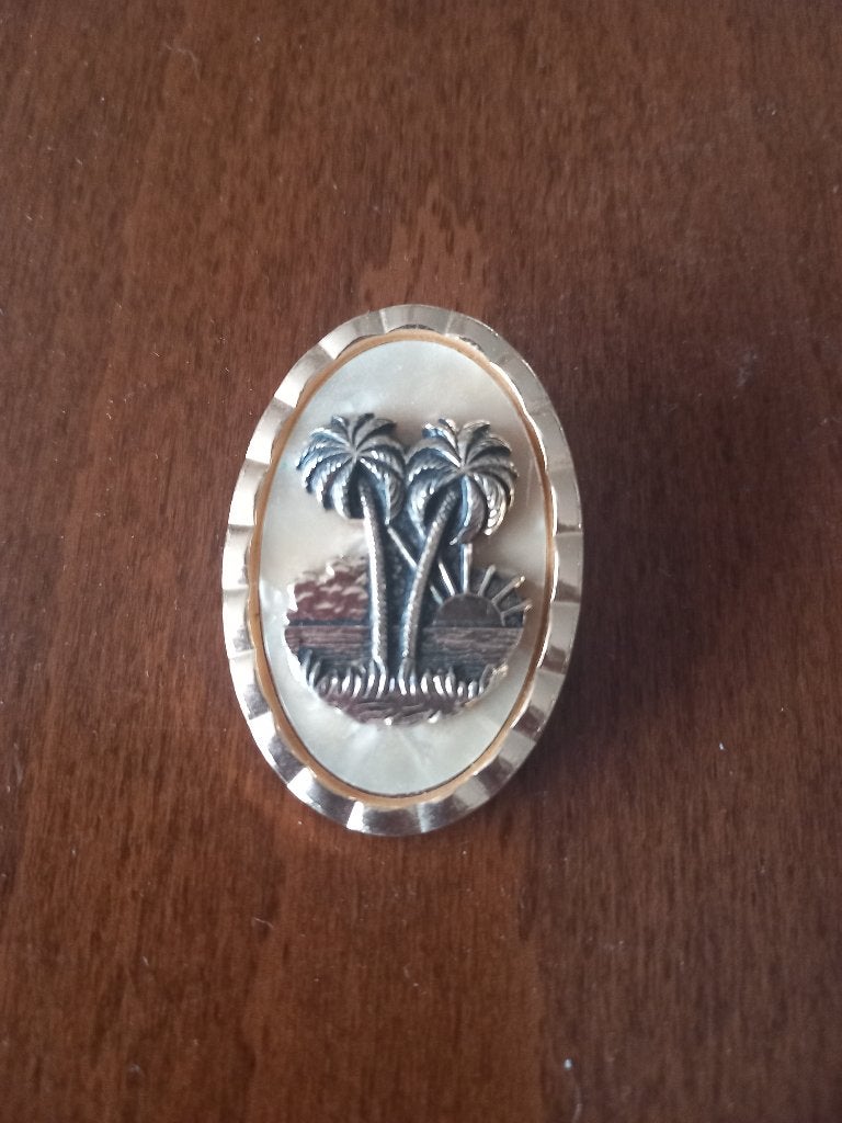 vintage sjaalclip, Overige materialen, 4 tot 7 cm, Ophalen of Verzenden, Zo goed als nieuw
