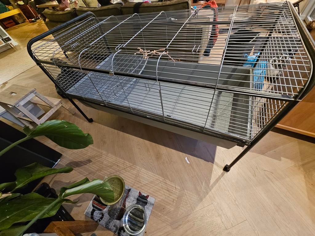 Grote konijnen/cavia hok op wielen, Dieren en Toebehoren, Ophalen, 110 cm of meer, 90 cm of meer, Hok