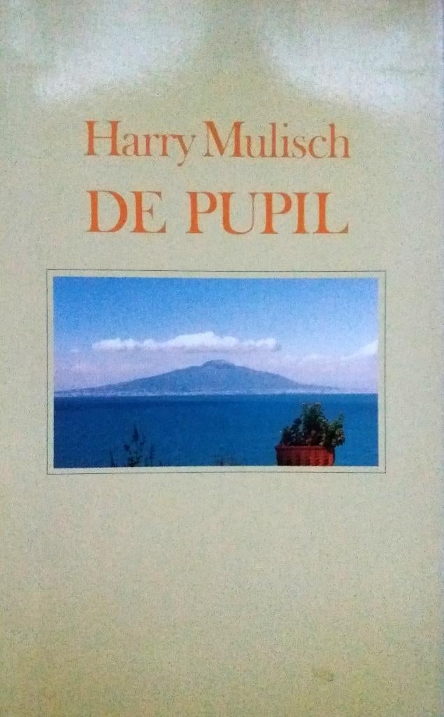 Harry Mulisch - De Pupil (Ex.1), Ophalen of Verzenden, Gelezen, Nederland