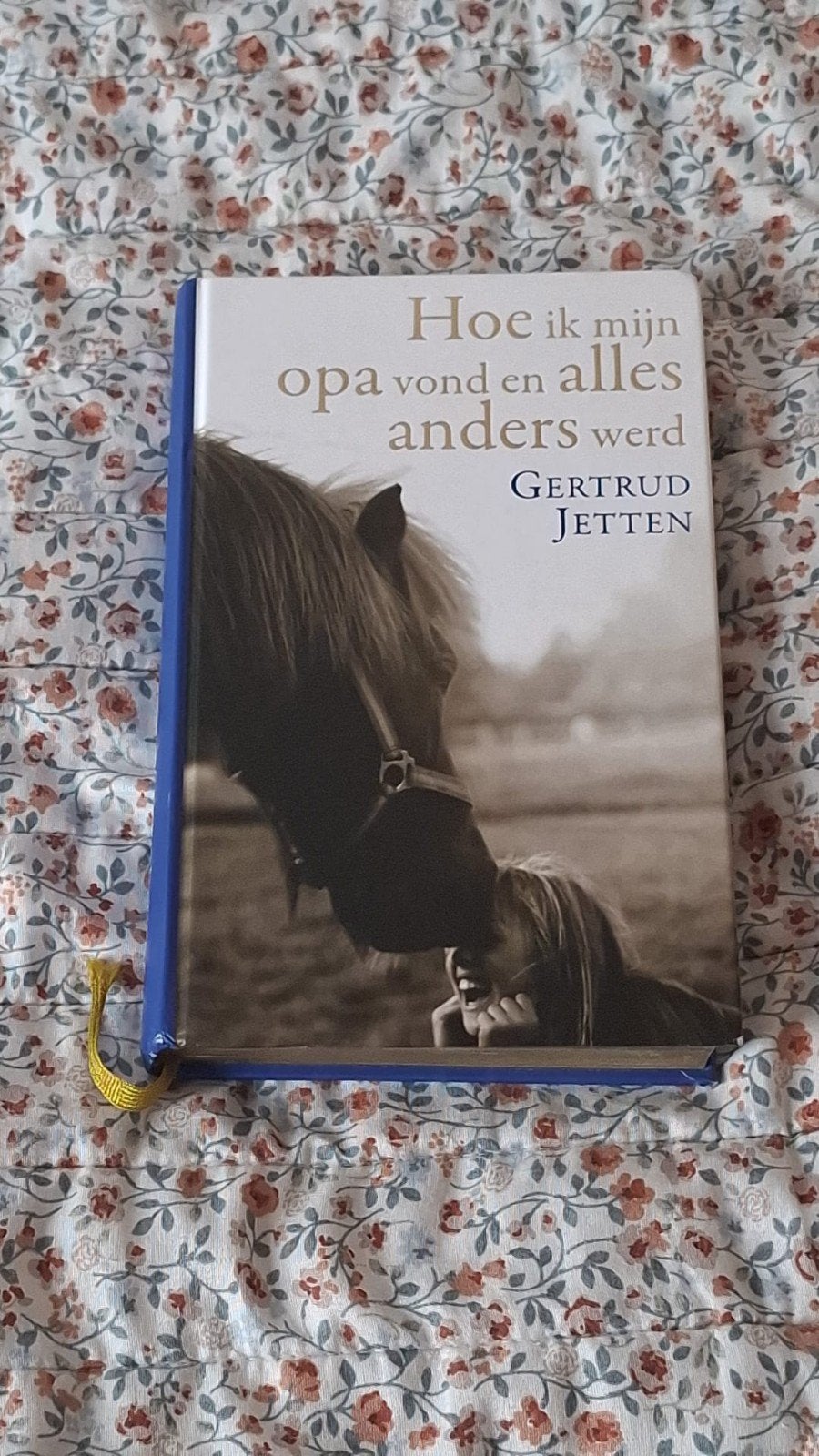 Hoe ik mijn opa vond en alles anders werd - Gertrud Jetten, Ophalen, Zo goed als nieuw, Gertrud Jetten, Nederland