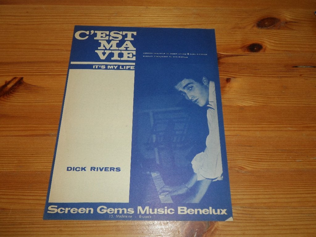 Dick rivers - c'est ma vie - it's my life, Muziek en Instrumenten, Gebruikt, Gitaar, Ophalen of Verzenden, Artiest of Componist