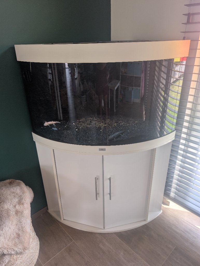 Juwel Trigion, led, 3 Axolotl en zeer veel toebehoren, Dieren en Toebehoren, Ophalen, Gebruikt, Inclusief vissen, Gevuld zoetwateraquarium
