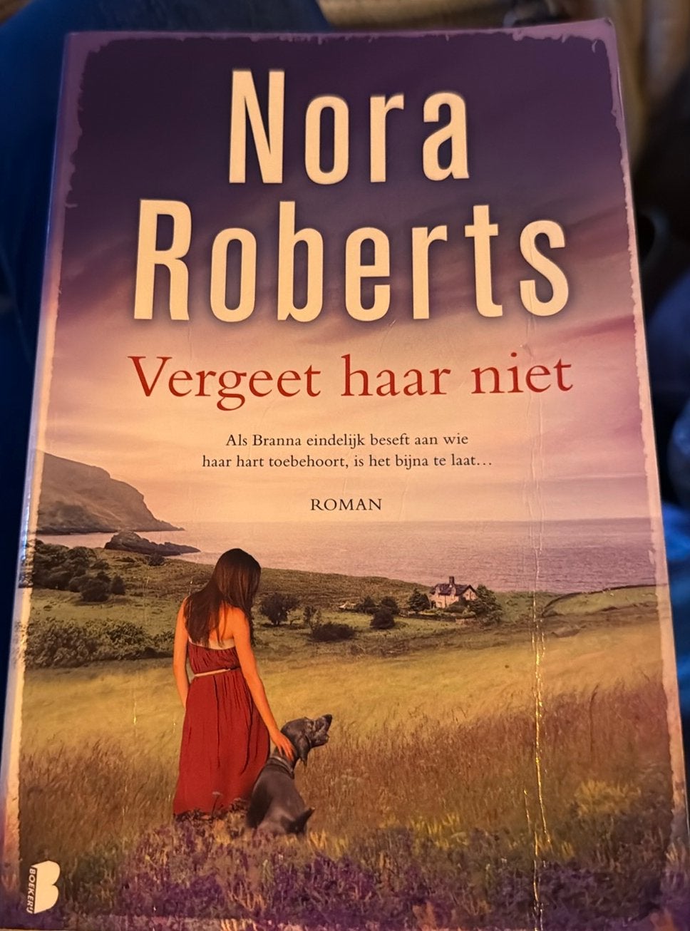 Nora Roberts - Vergeet haar niet deel 3, Ophalen of Verzenden, Zo goed als nieuw, Nora Roberts