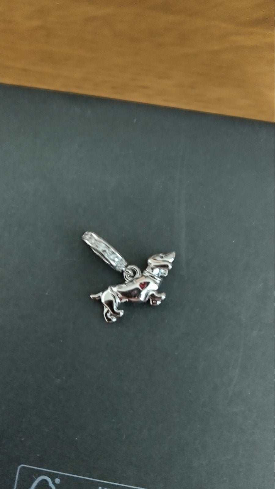 massief zilveren tekkel, Ophalen of Verzenden, Nieuw, Zilver, Overige merken