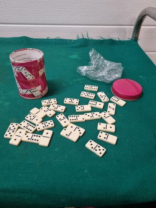 domino in blik 28 stenen, Ophalen of Verzenden, 'T Olde Gre-j, Info@toldegrej.nl, Endepoelstraat 20f Didam